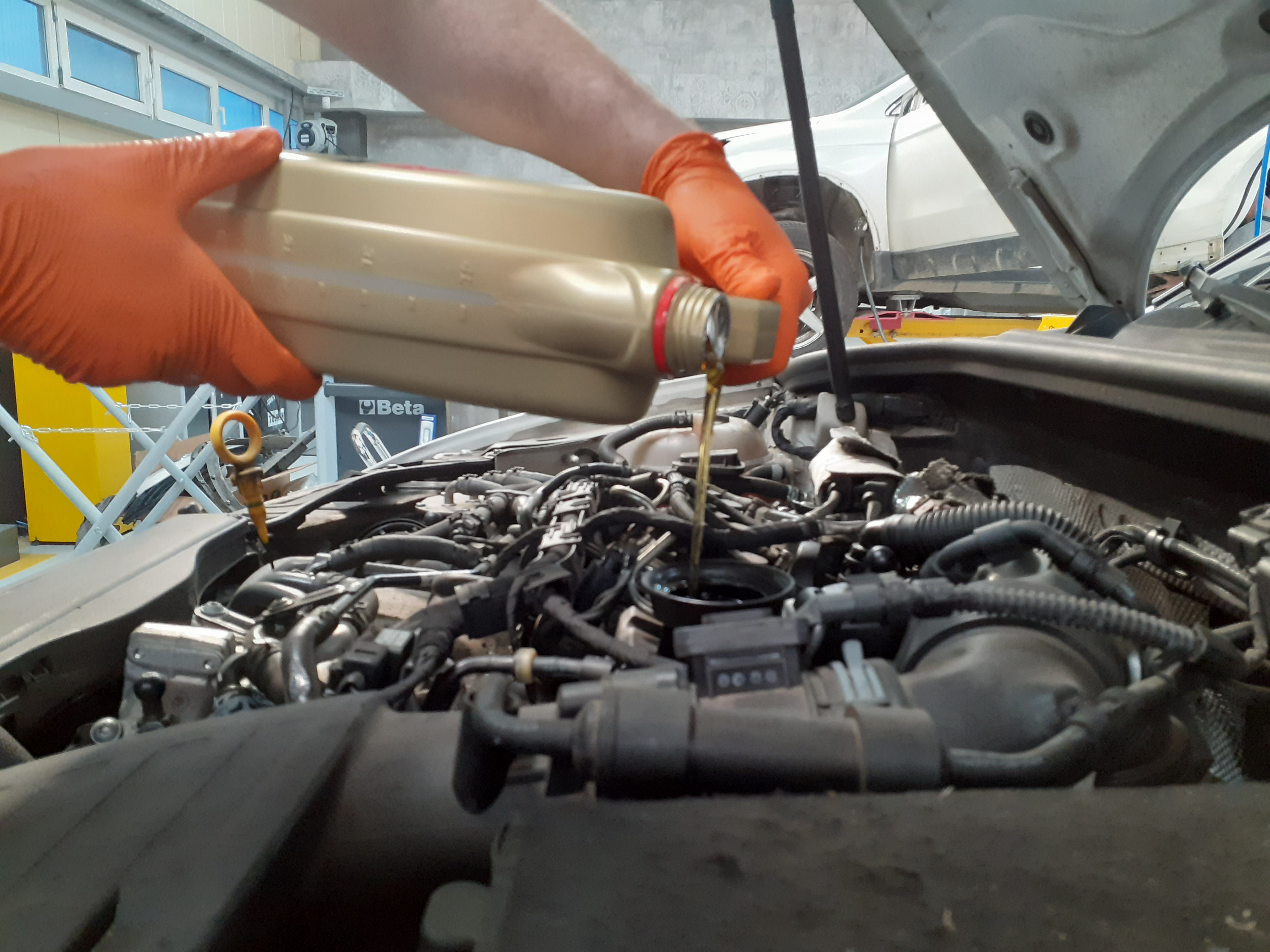 Mecanica - Next Level Garage